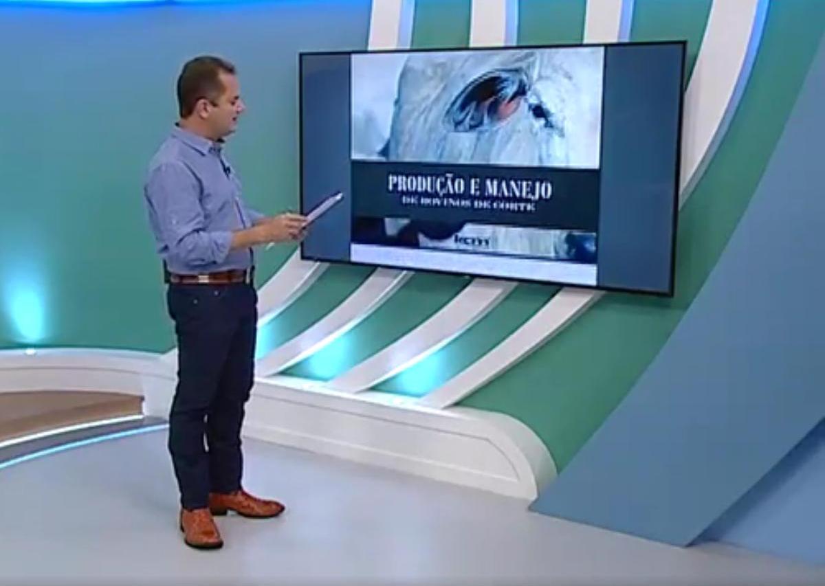 “Produção e Manejo de Bovinos de Corte” revela segredos da pecuária mato-grossense “Produção e Manejo de Bovinos de Corte” revela segredos da pecuária mato-grossense
