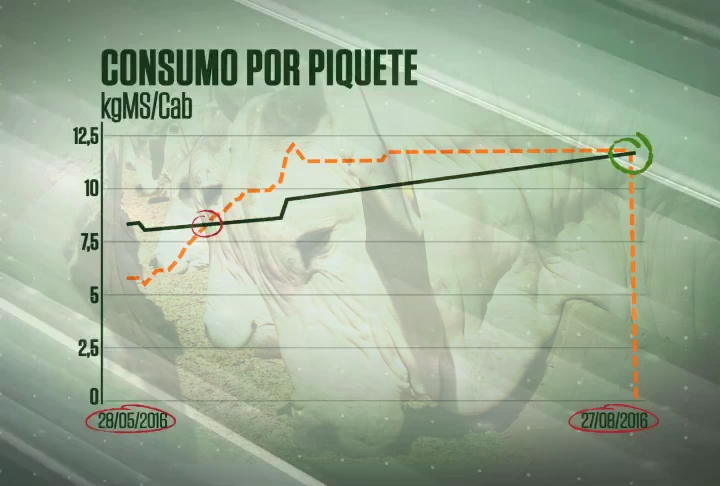Você sabe qual é o ponto de abate do boi?