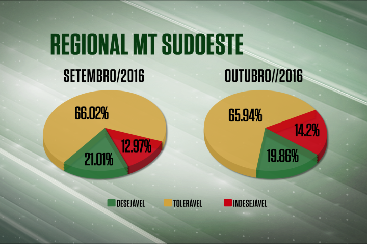 Confira a qualidade dos abates na regional MT/Sudoeste Confira a qualidade dos abates na regional MT/Sudoeste