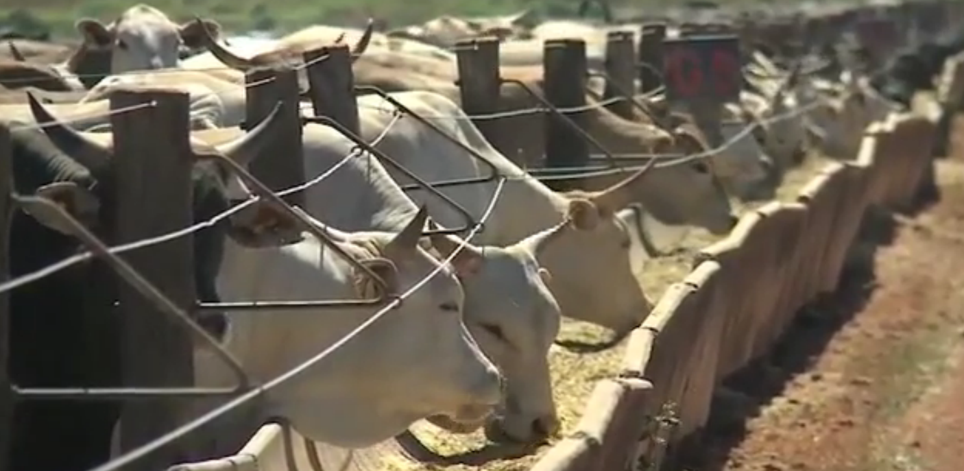 Confinamento do Grupo Mantiqueira: um modelo de produtividade no Vale do Araguaia