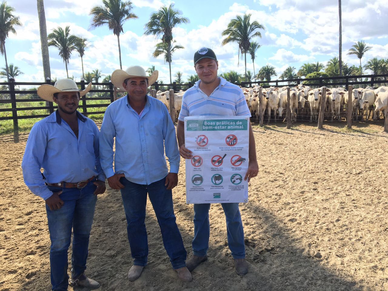 Produtores do Norte do Brasil recebem instruções sobre manejo sanitário