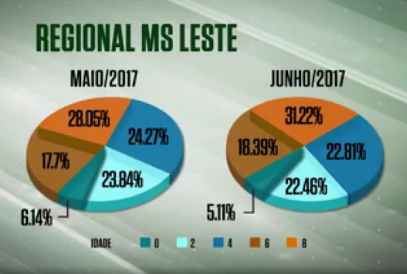Abate de animais jovens cresce em frigoríficos do MS Abate de animais jovens cresce em frigoríficos do MS