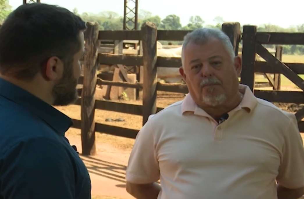 Professor da USP dá dicas para quem quer começar a investir na pecuária