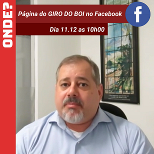 Assista agora AO VIVO: palestras de Maurício Nogueira e Ivan Wedekin