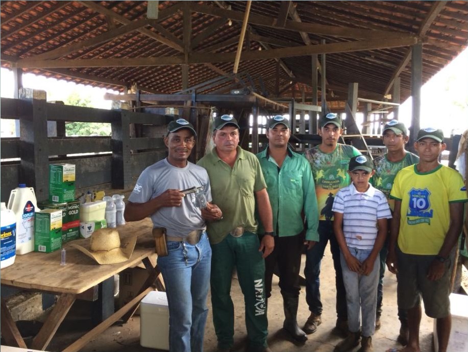 Ainda não vacinou o rebanho contra a aftosa? Prepare seus animais e sua equipe com estas dicas