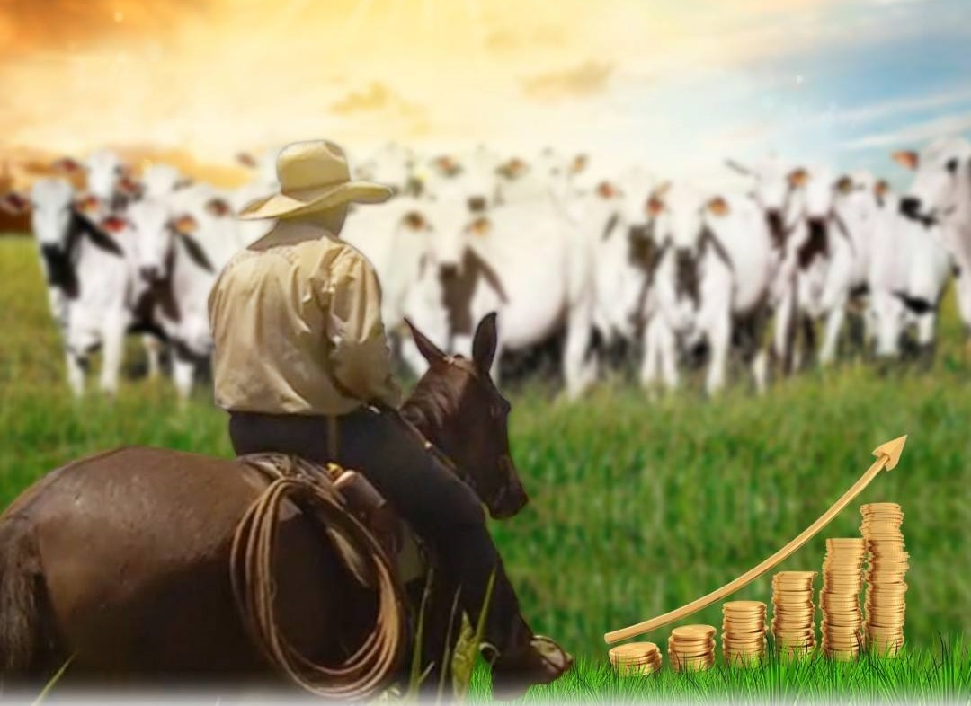 agricultura ou pecuária profissional