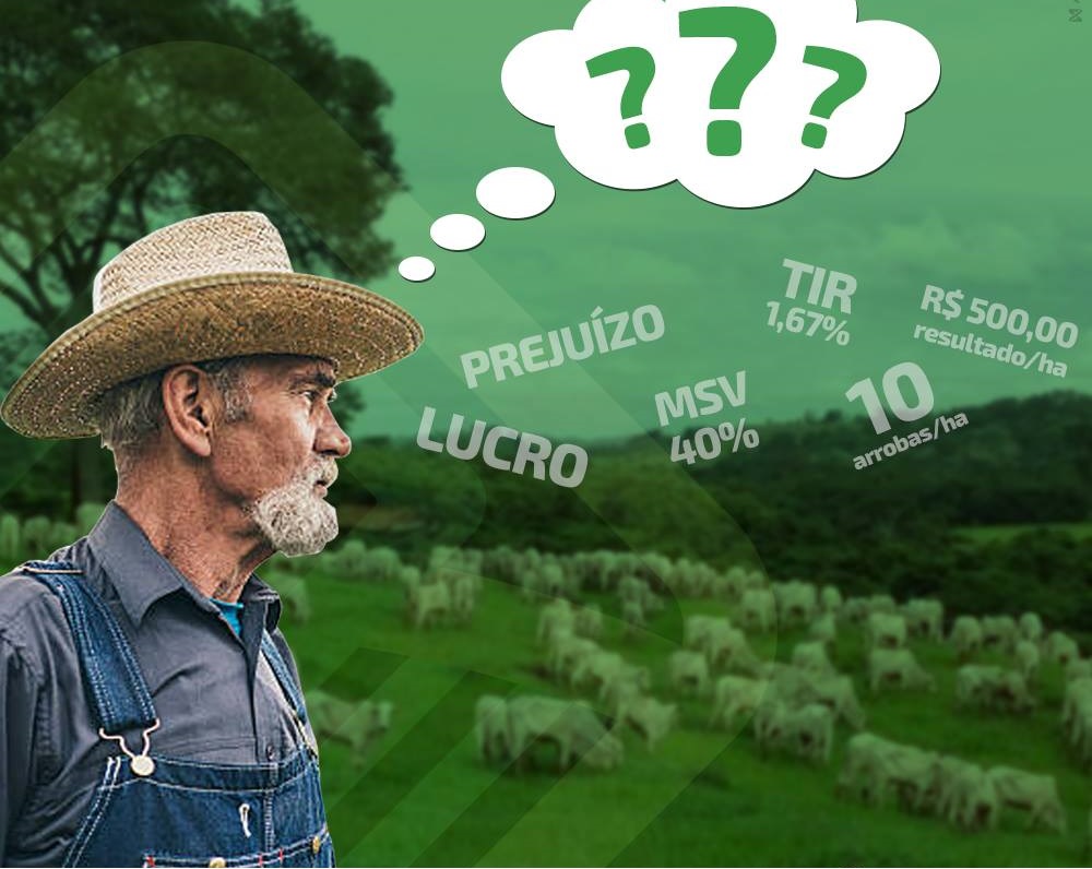 pecuária de sucesso benchmarking inttegra 2020/21