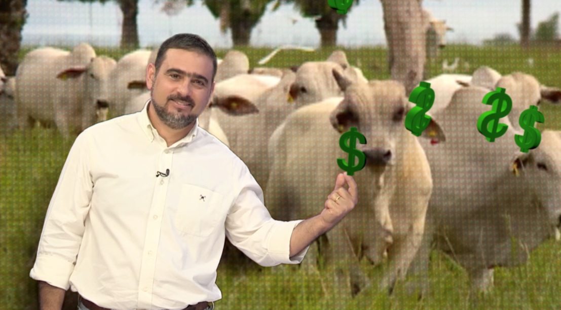 produtividade da pecuária