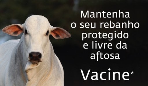 Nova fórmula ajuda, mas não substitui boas práticas na hora de vacinar contra a aftosa