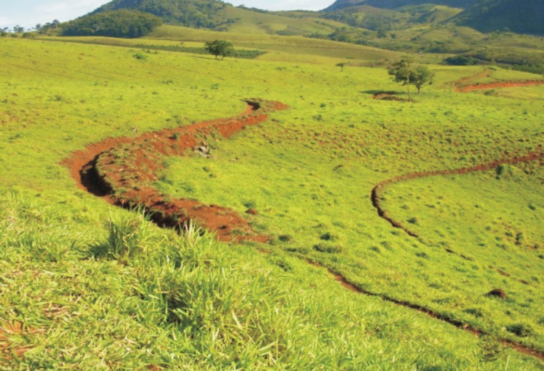 plantar braquiária em área de morro
