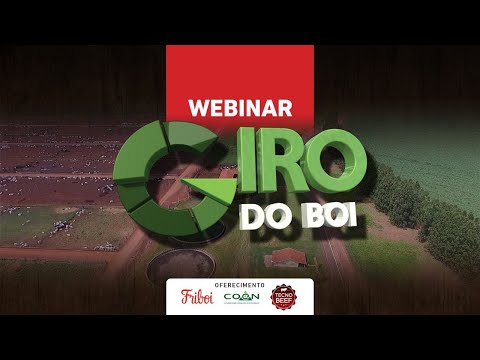 Ao vivo: Webinar Giro do Boi - Confinamento Brasileiro