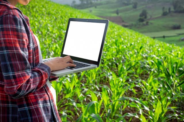 Menos analógico, mais digital e mais humano: como será o agro pós-pandemia?