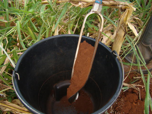 Coleta de amostras para a análise de solo. Foto: Divulgação