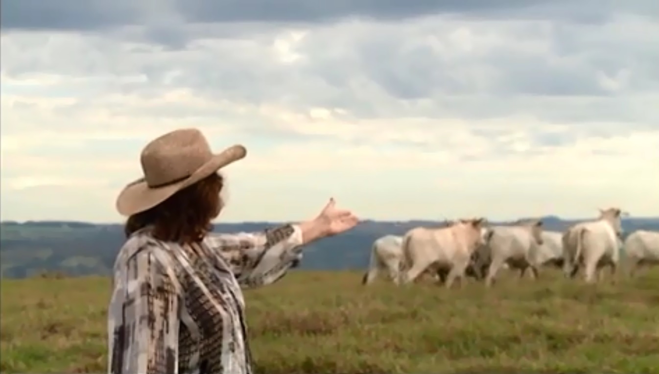 Na terra de Portinari, pecuária também é arte na fazenda de Regina Moura