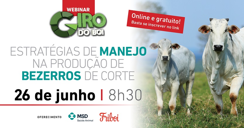 9º Webinar Giro do Boi: Estratégias de manejo na produção de bezerros de corte