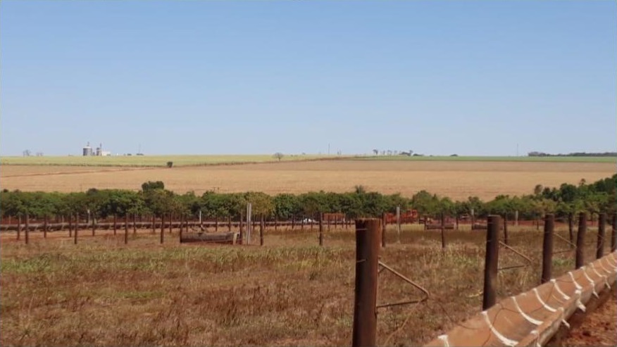 Pecuarista pode usar boitel para acelerar giro no fim da seca e reservar pasto para categorias exigentes