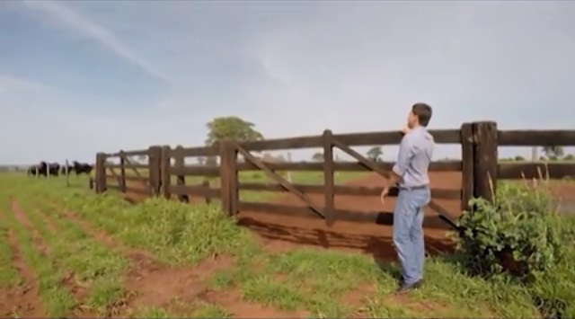 Em meio à sucessão, fazenda adotou IATF e taxa de prenhez saltou para 93%