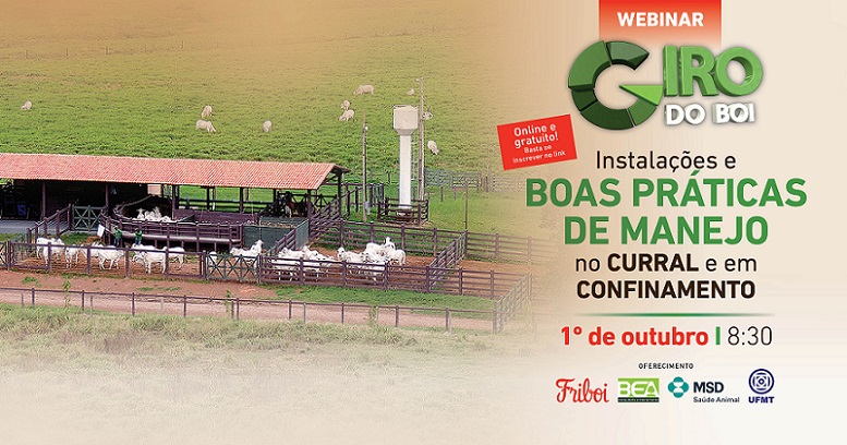 Giro do Boi começa outubro com webinar sobre instalações e boas práticas no curral e confinamento