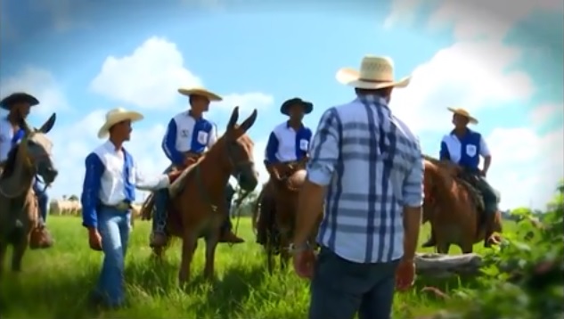 Estão sobrando vagas de emprego no campo, revela especialista