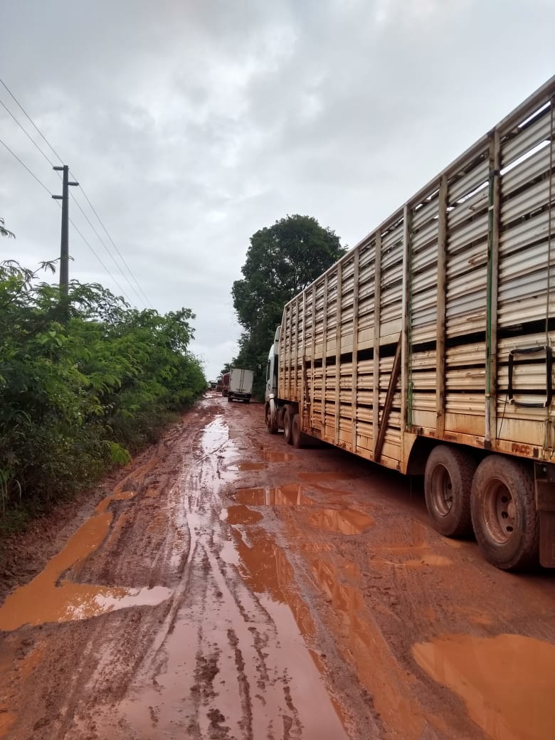 Pecuarista, saiba como ajudar o transporte boiadeiro nas chuvas