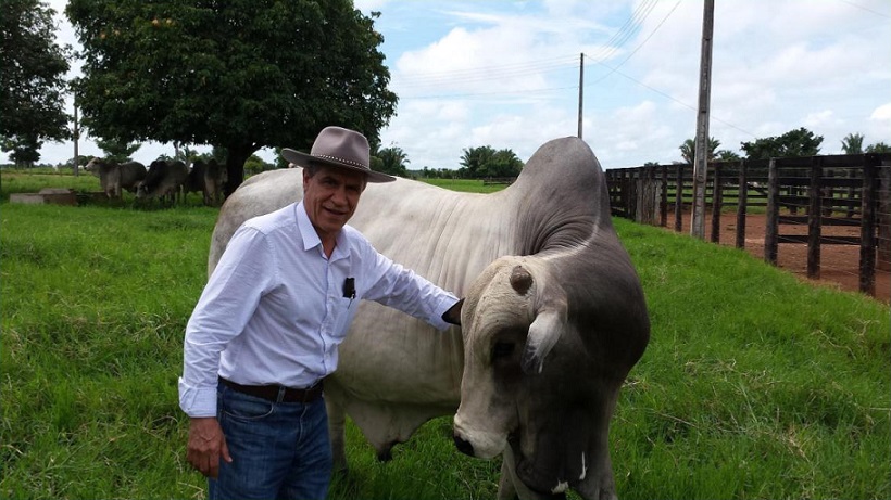 O engenheiro agrônomo e pesquisador Antonio Nascimento Ferreira Rosa, mais conhecido como “Toti”, chefe geral da Embrapa Gado de Corte, de Campo Grande (MS). Foto: Divulgação