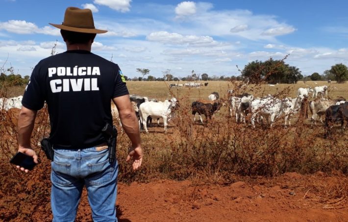Policial Civil em operação contra abigeato. Foto: Divulgação