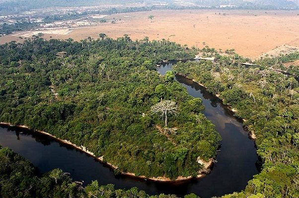 Veja passo a passo como concluir a regularização ambiental de sua fazenda