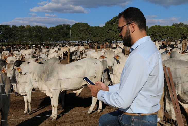 “Tiro na Lua”: saiba por que técnica pode turbinar o planejamento na fazenda