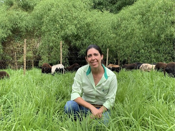 Janaína Martuscello, doutora em zootecnia e especialista em pastagens
