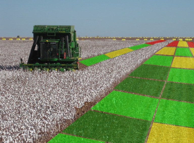 Entenda a relação entre a Lei Geral de Proteção de Dados e o universo agro