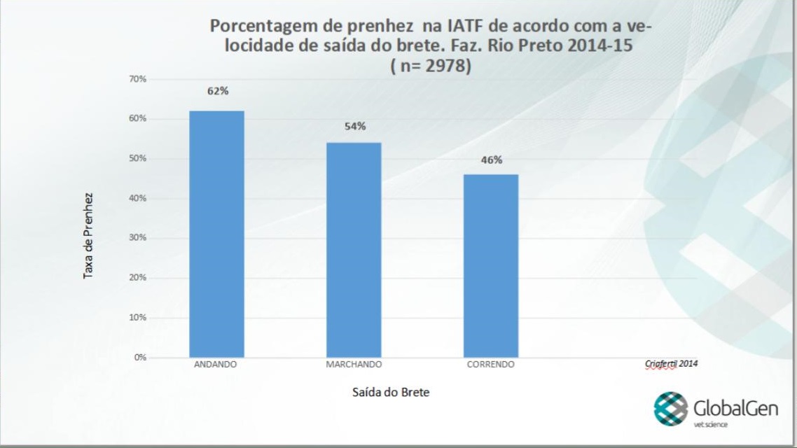 estação de monta relação saída do brete taxa de prenhez