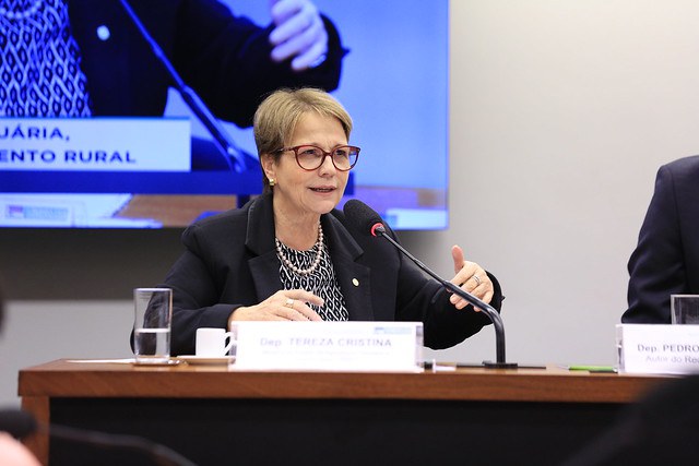 crise dos fertilizantes ministra tereza cristina solução congresso anda 2021