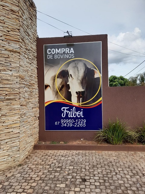 escritório de compra de gado em bela vista-ms friboi contatos