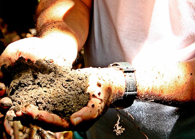 Detalhe de adubo com matéria orgânica. Foto: Divulgação