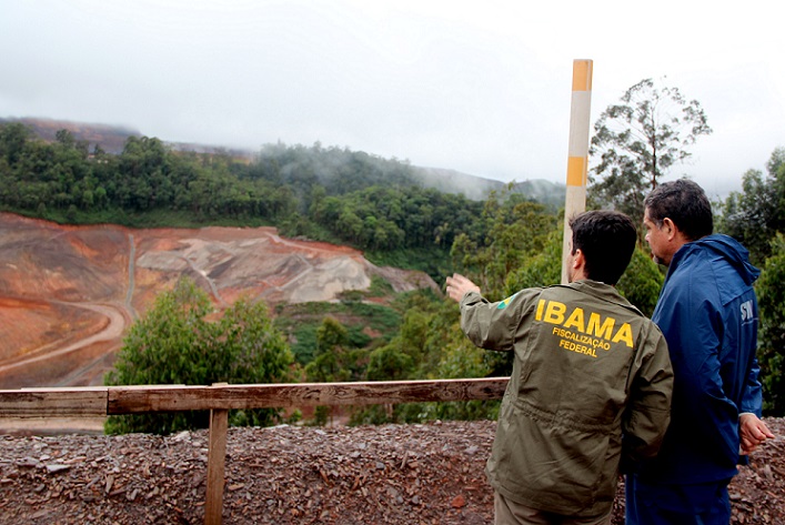 compra de gado de áreas embargadas consequências