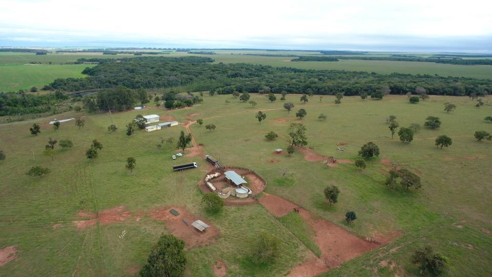 Usucapião rural: quando se pode reivindicar o direito da terra na justiça Usucapião rural: quando se pode reivindicar o direito da terra na justiça
