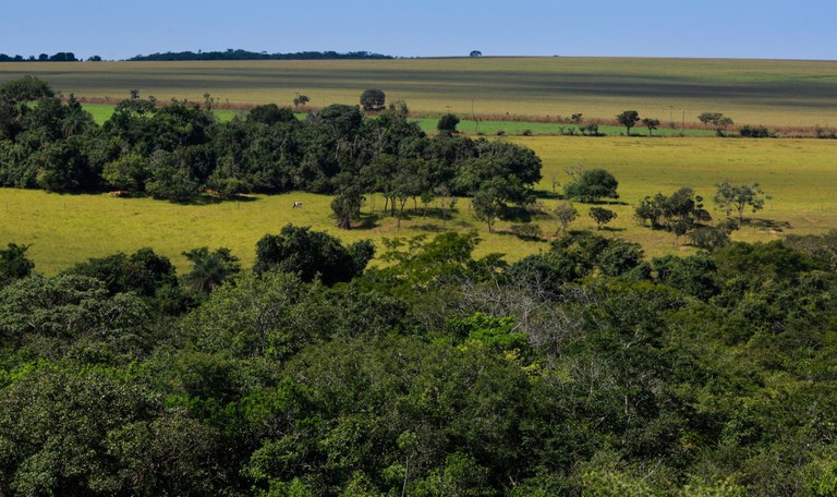 Produtor rural pode ser responsabilizado por dano ambiental de terceiros?