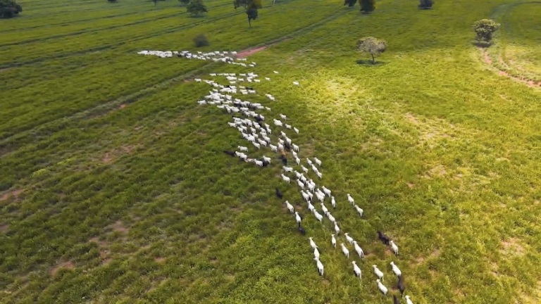 Vista aérea da fazenda Rio Corrente Agropastoril em Coxim (MS). Foto: Reprodução