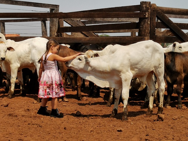 fazenda em rondônia moquem pimenta bueno bem-estar animal