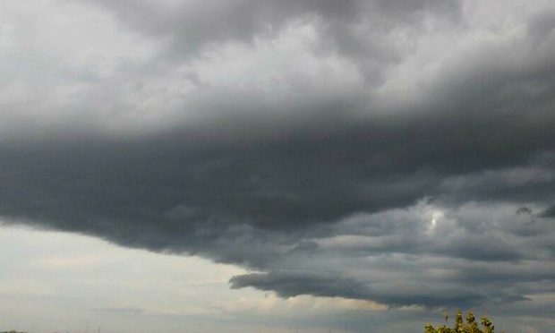 Confira onde mais chove em áreas de pasto no País