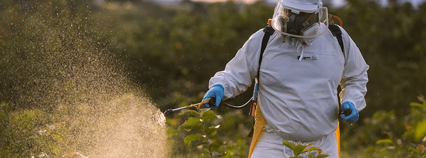 Controle das plantas invasoras em áreas de pastagens. Foto: Divulgação