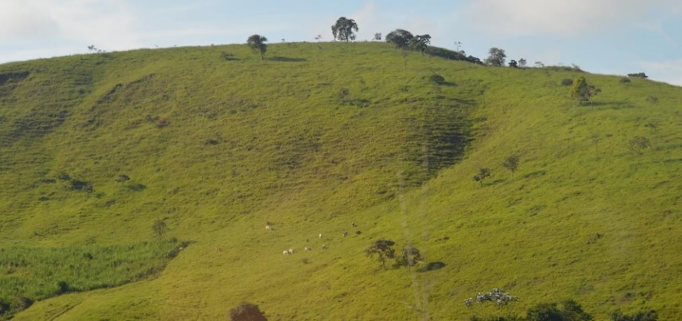Morro em fazenda de produção de gado de corte. Foto: Reprodução