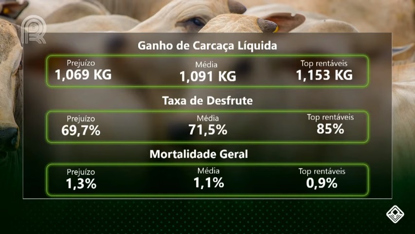 recria e engorda ganho de carcaça líquida, taxa de desfrute, mortalidade