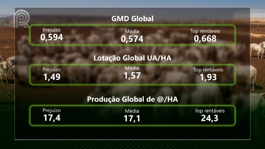 recria e engorda gmd global lotação produção de arrobas/hectare