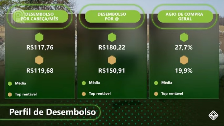 perfil de desembolso pecuária recria e engorda benchmarking 2020/21 inttegra antonio chaker