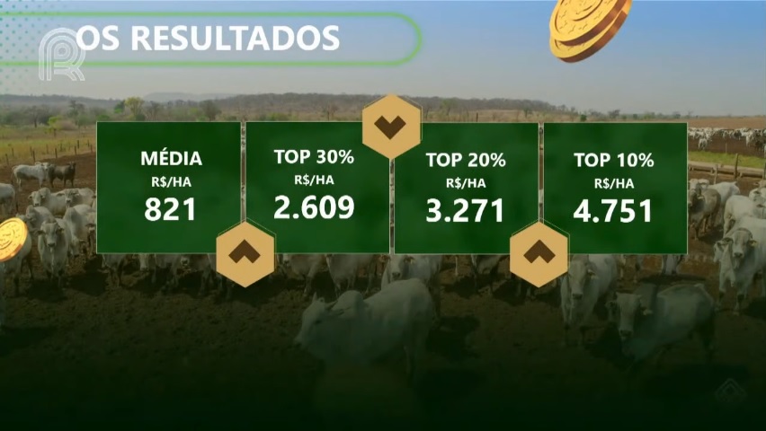 agricultura ou pecuária: resultado por hectare da recria e engorda