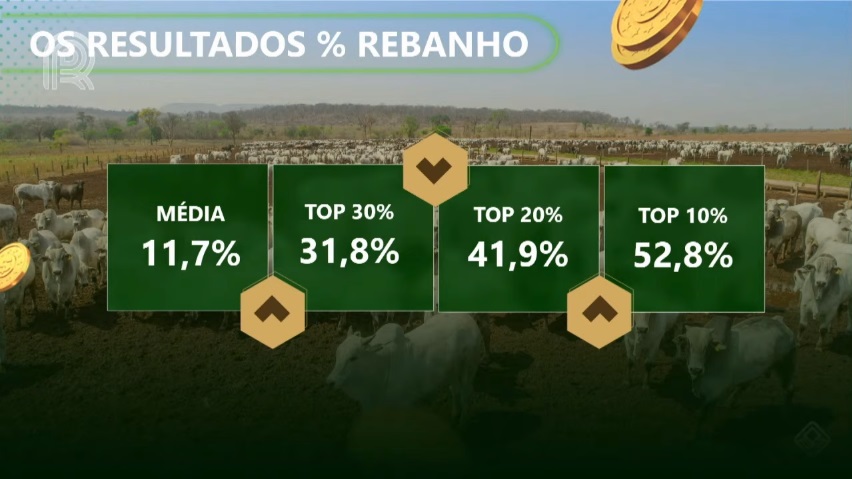 agricultura ou pecuária: resultado sobre o valor do rebanho na recria e engorda