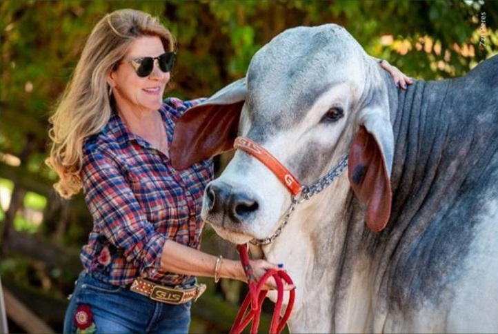 história giselle de sá pinto gontijo tabapuã gis fazenda machado indaiá das dores-mg