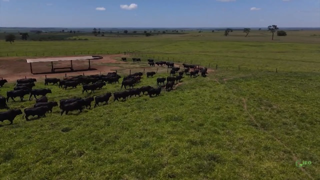 fazenda nota 10 agropecuária ramawi