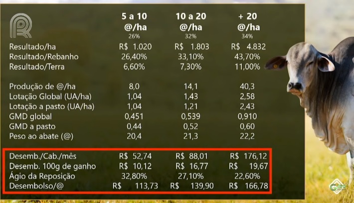 custos na pecuária recria e engorda benchmarking 2020/21